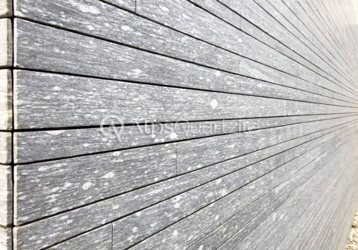 Alps Quartzite Vein-cut detailed view